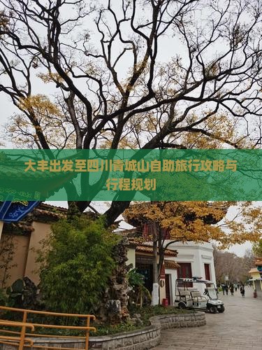 大丰出发至四川青城山自助旅行攻略与行程规划