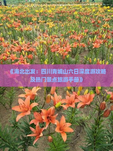 《海北出发：四川青城山六日深度游攻略及热门景点旅游手册》