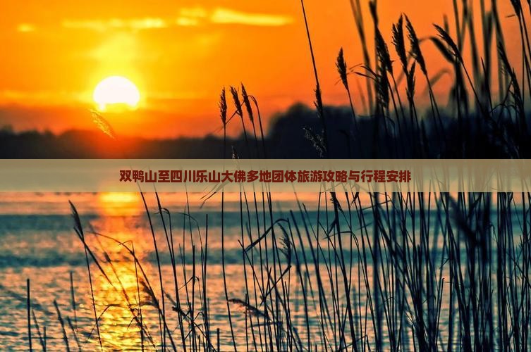双鸭山至四川乐山大佛多地团体旅游攻略与行程安排