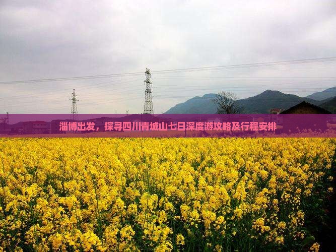 淄博出发，探寻四川青城山七日深度游攻略及行程安排