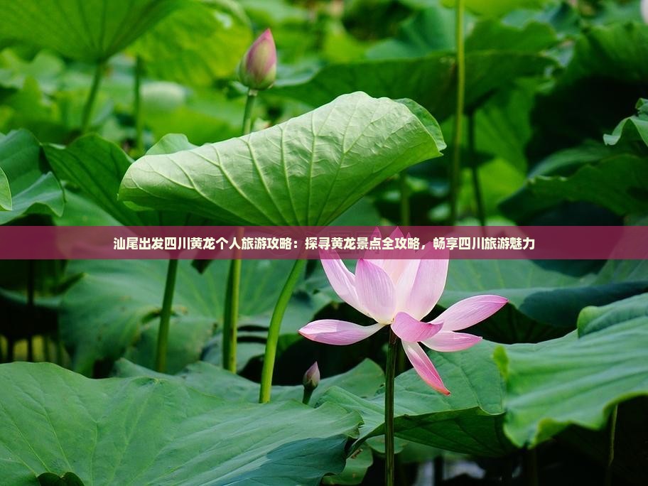汕尾出发四川黄龙个人旅游攻略：探寻黄龙景点全攻略，畅享四川旅游魅力