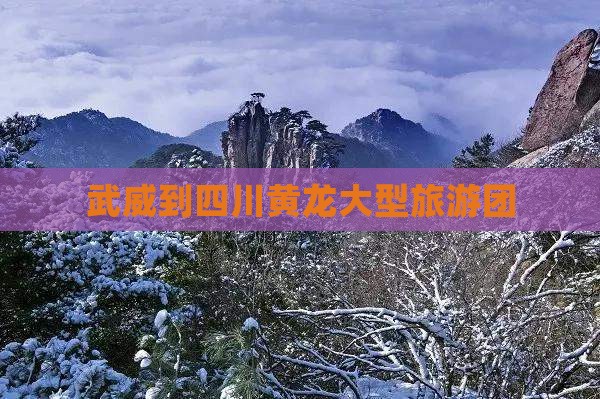 武威到四川黄龙大型旅游团