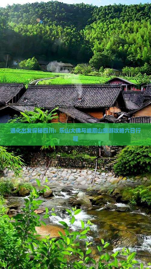 通化出发探秘四川：乐山大佛与峨眉山旅游攻略六日行程