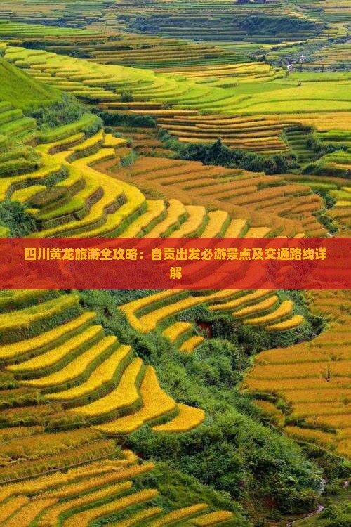 四川黄龙旅游全攻略：自贡出发必游景点及交通路线详解