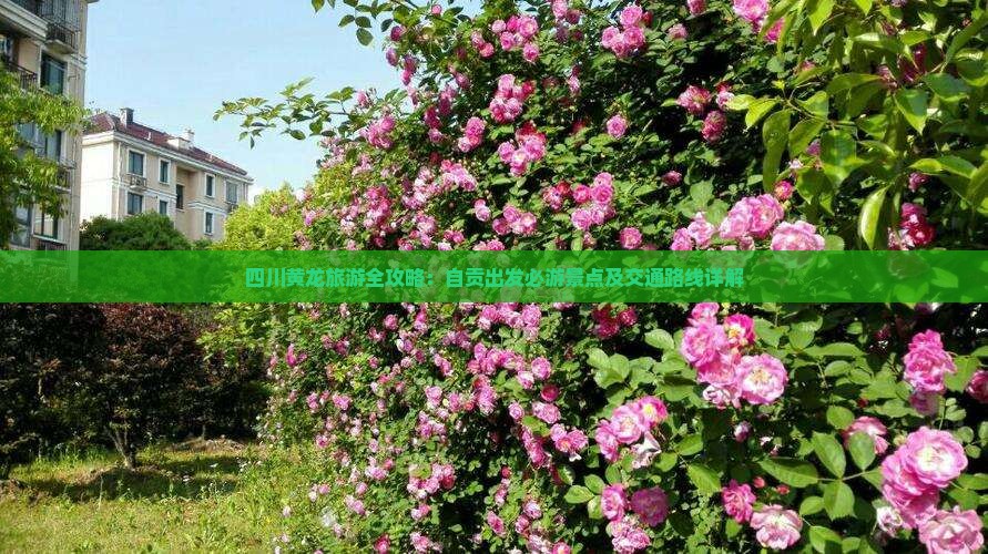 四川黄龙旅游全攻略：自贡出发必游景点及交通路线详解