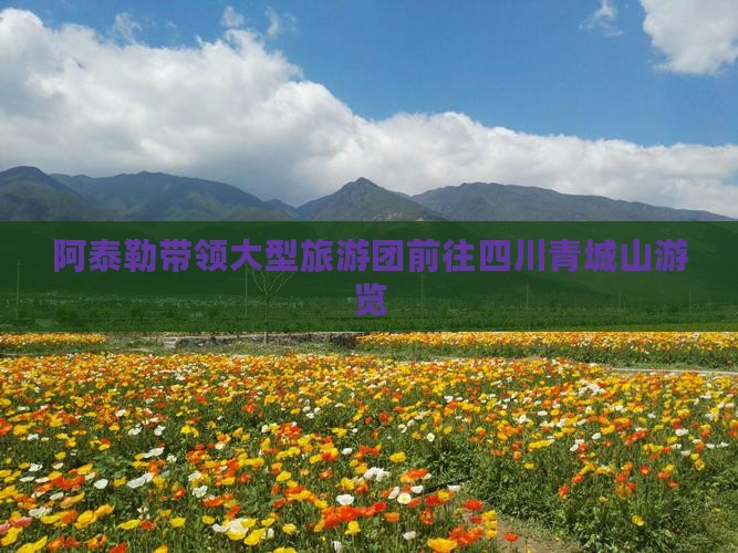 阿泰勒带领大型旅游团前往四川青城山游览
