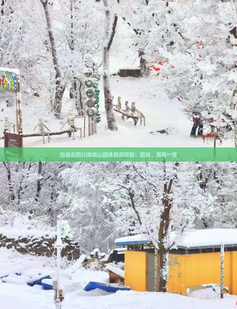 白城去四川青城山团体旅游攻略：路线、费用一览