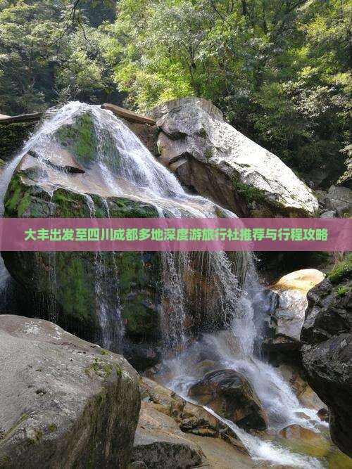 大丰出发至四川成都多地深度游旅行社推荐与行程攻略