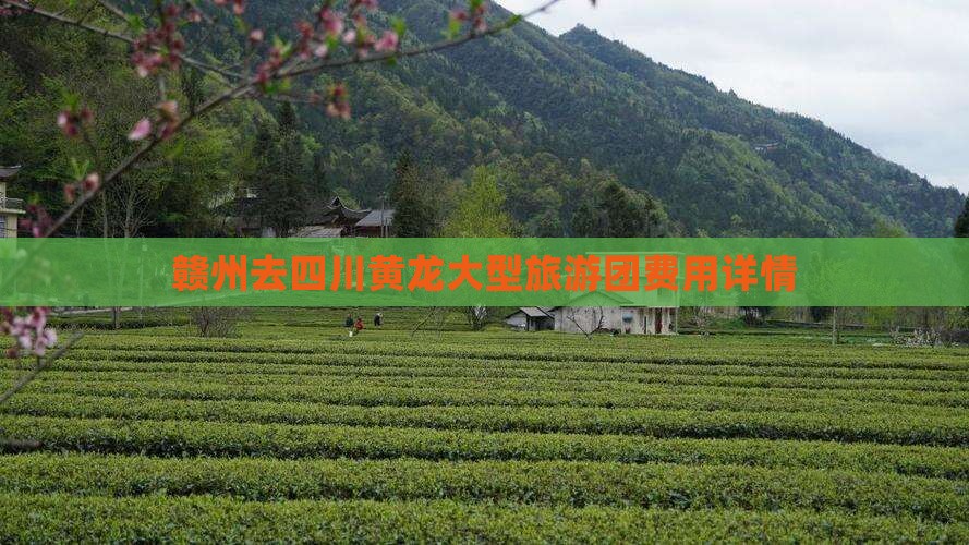 赣州去四川黄龙大型旅游团费用详情
