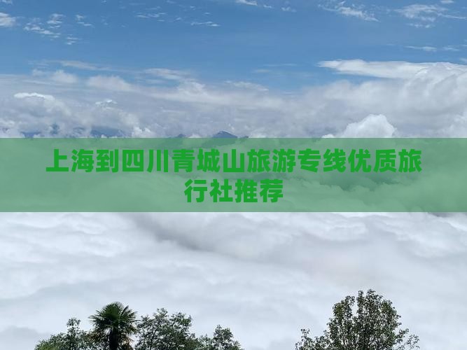 上海到四川青城山旅游专线优质旅行社推荐