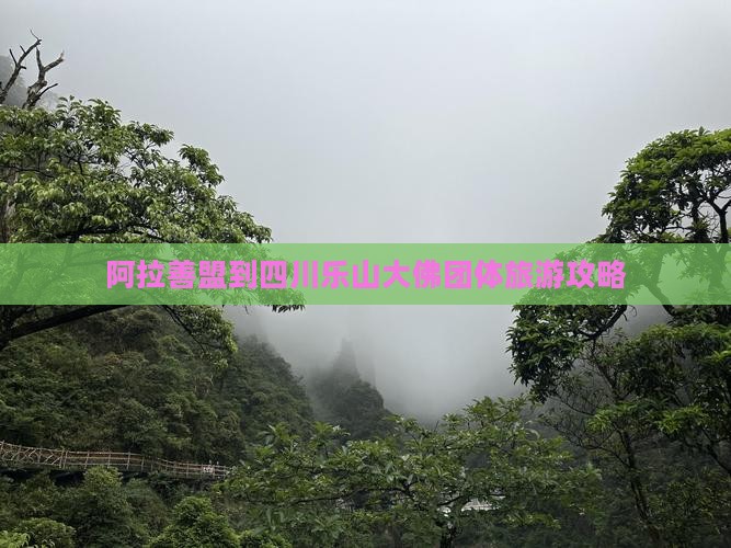 阿拉善盟到四川乐山大佛团体旅游攻略