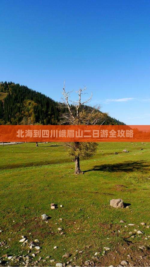 北海到四川峨眉山二日游全攻略