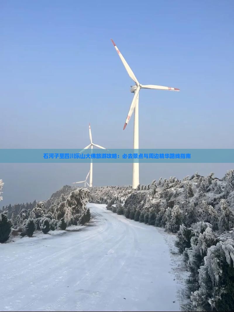 石河子至四川乐山大佛旅游攻略：必去景点与周边精华路线指南