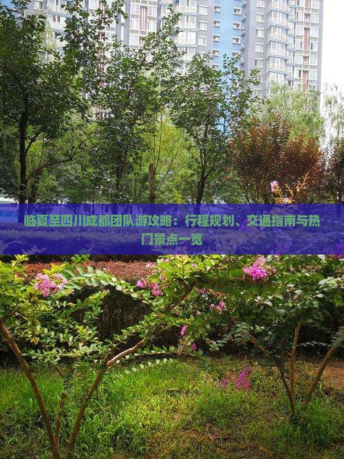 临夏至四川成都团队游攻略：行程规划、交通指南与热门景点一览