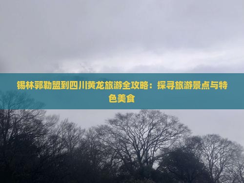 锡林郭勒盟到四川黄龙旅游全攻略：探寻旅游景点与特色美食