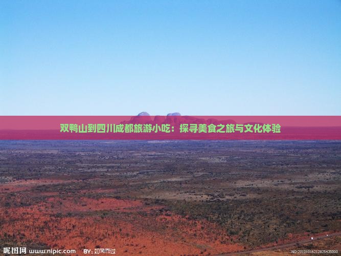 双鸭山到四川成都旅游小吃：探寻美食之旅与文化体验