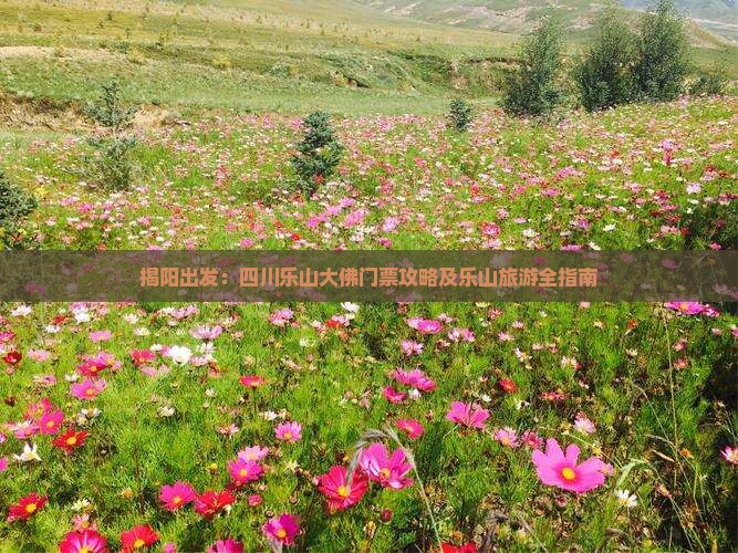 揭阳出发：四川乐山大佛门票攻略及乐山旅游全指南