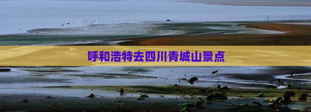 呼和浩特去四川青城山景点