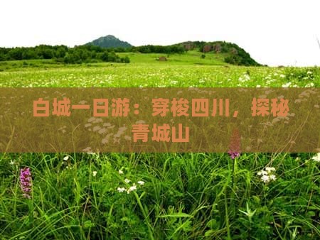 白城一日游：穿梭四川，探秘青城山