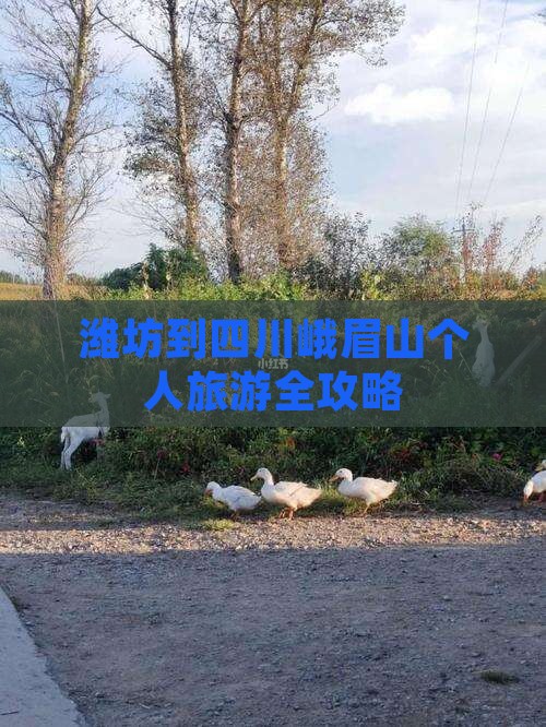 潍坊到四川峨眉山个人旅游全攻略