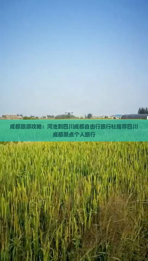 成都旅游攻略：河池到四川成都自由行旅行社推荐四川成都景点个人旅行