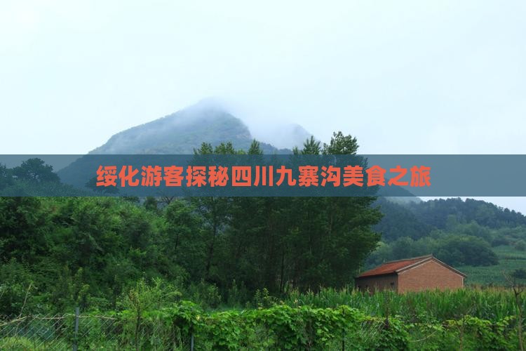 绥化游客探秘四川九寨沟美食之旅