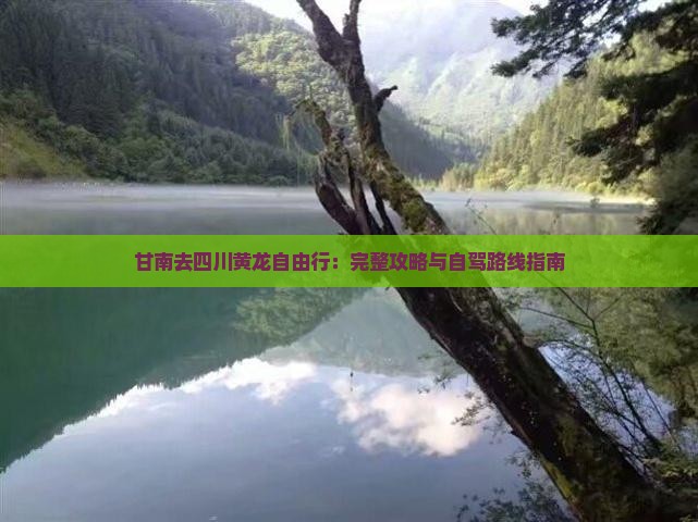 甘南去四川黄龙自由行：完整攻略与自驾路线指南