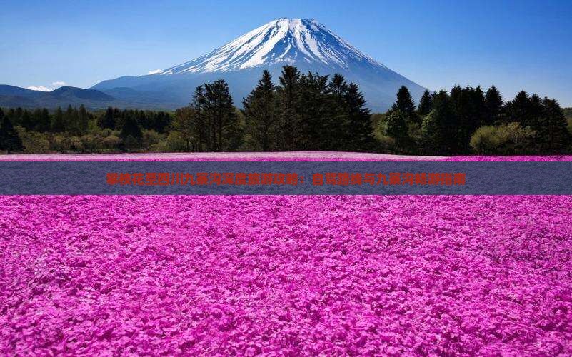 攀枝花至四川九寨沟深度旅游攻略：自驾路线与九寨沟畅游指南
