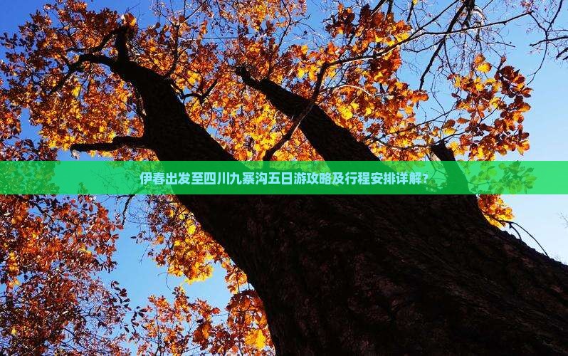 伊春出发至四川九寨沟五日游攻略及行程安排详解？