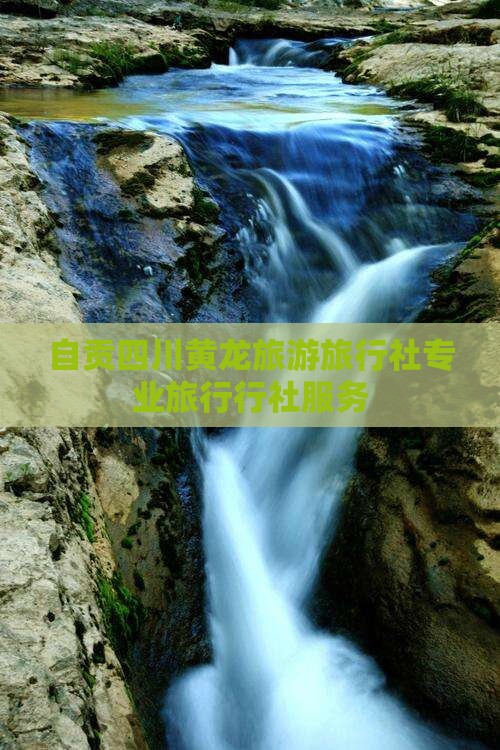 自贡四川黄龙旅游旅行社专业旅行行社服务