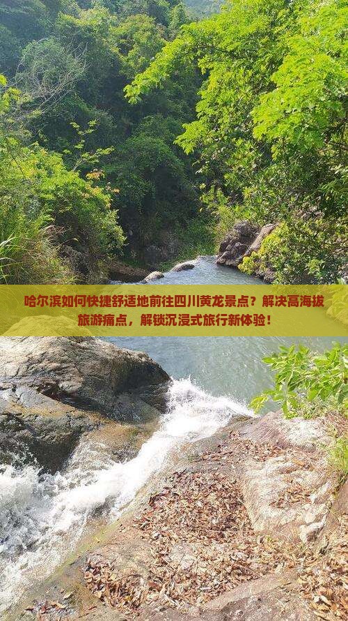 哈尔滨如何快捷舒适地前往四川黄龙景点？解决高海拔旅游痛点，解锁沉浸式旅行新体验！