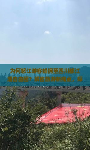 为何怒江游客蜂拥至四川都江堰自由团？解密旅游新痛点，探寻网红打卡地背后！