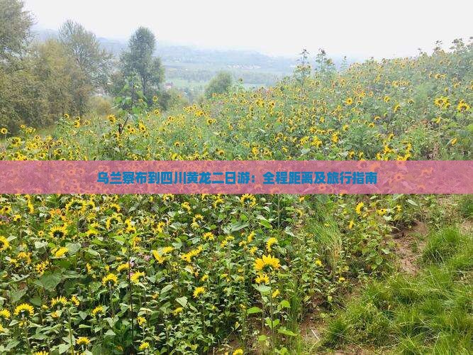 乌兰察布到四川黄龙二日游：全程距离及旅行指南