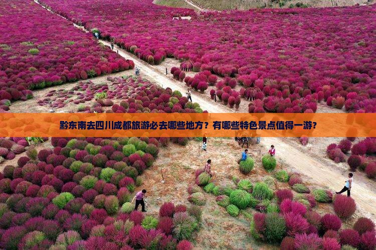 黔东南去四川成都旅游必去哪些地方？有哪些特色景点值得一游？