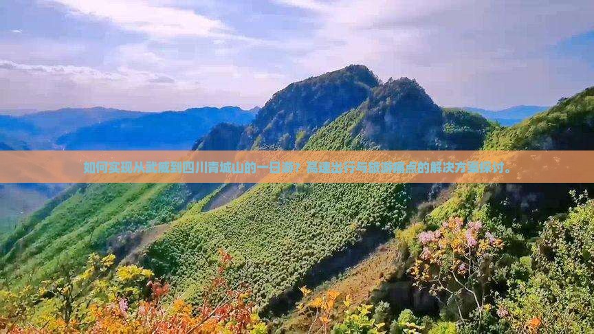 如何实现从武威到四川青城山的一日游？高速出行与旅游痛点的解决方案探讨。