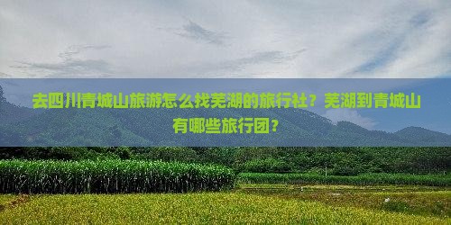 去四川青城山旅游怎么找芜湖的旅行社？芜湖到青城山有哪些旅行团？