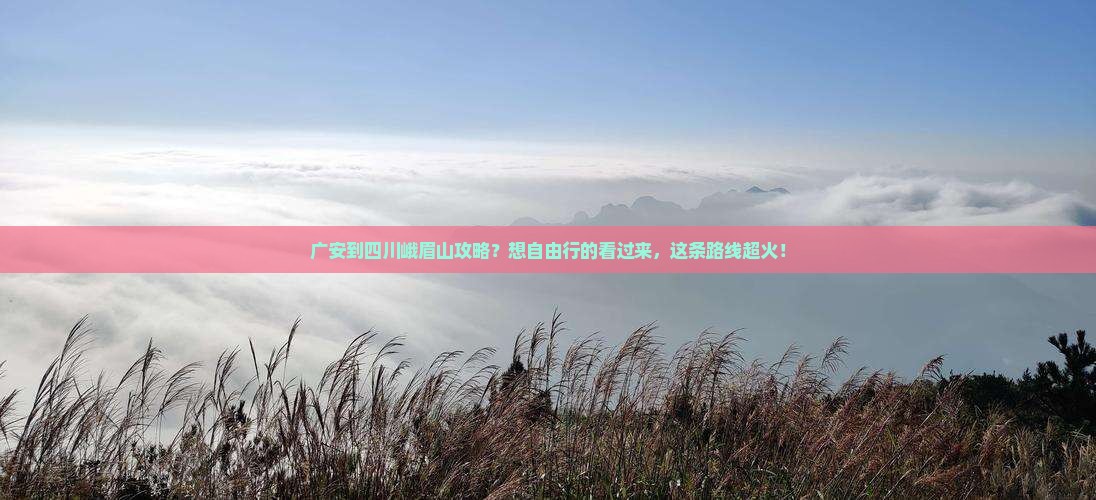广安到四川峨眉山攻略？想自由行的看过来，这条路线超火！