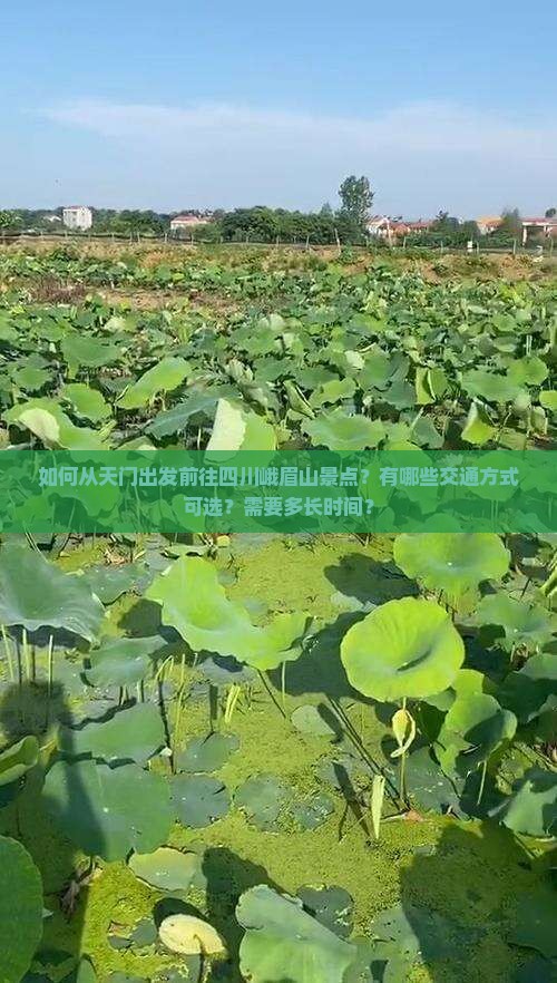 如何从天门出发前往四川峨眉山景点？有哪些交通方式可选？需要多长时间？