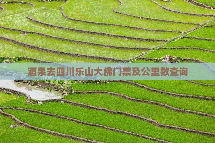 酒泉去四川乐山大佛门票及公里数查询
