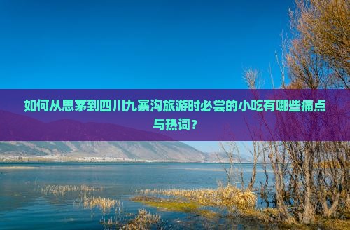 如何从思茅到四川九寨沟旅游时必尝的小吃有哪些痛点与热词？