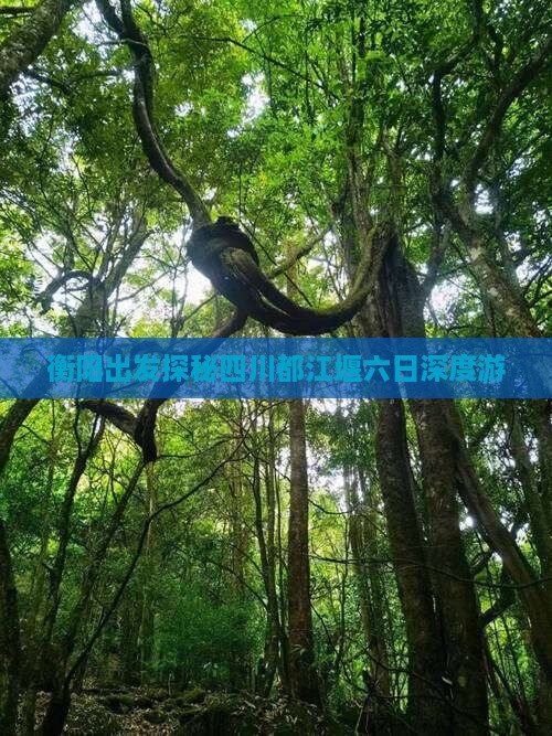 衡阳出发探秘四川都江堰六日深度游