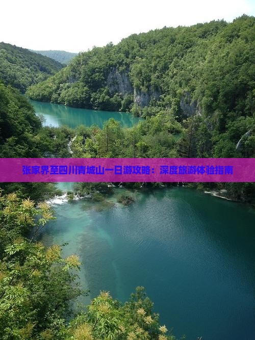 张家界至四川青城山一日游攻略：深度旅游体验指南