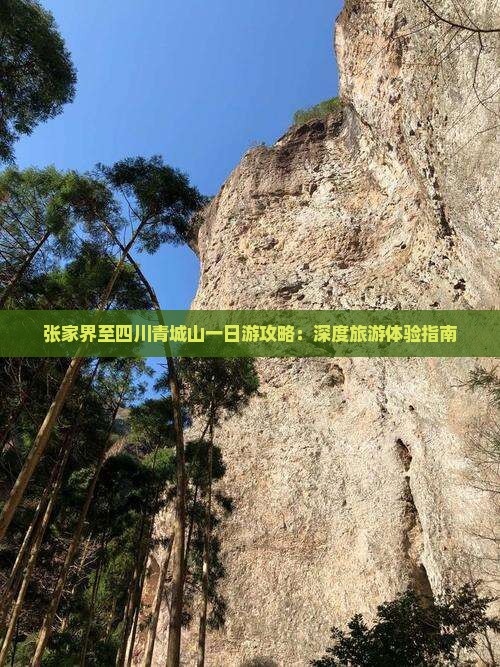 张家界至四川青城山一日游攻略：深度旅游体验指南