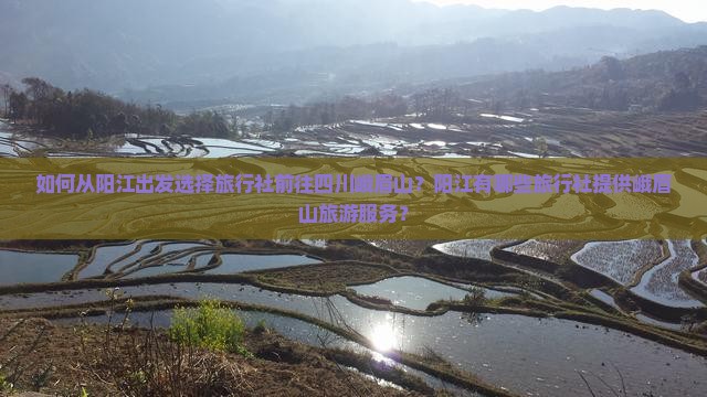 如何从阳江出发选择旅行社前往四川峨眉山？阳江有哪些旅行社提供峨眉山旅游服务？