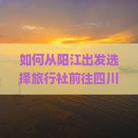 如何从阳江出发选择旅行社前往四川峨眉山？阳江有哪些旅行社提供峨眉山旅游服务？