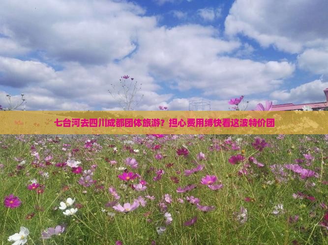 七台河去四川成都团体旅游？担心费用缚快看这波特价团
