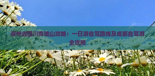 湖州去四川青城山攻略：一日游自驾路线及成都自驾游全攻略