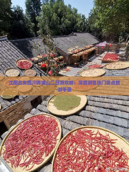 沈阳出发四川青城山二日游攻略：深度游览热门景点旅游手册