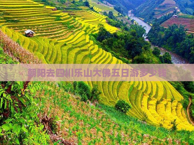 朝阳去四川乐山大佛五日游多少钱