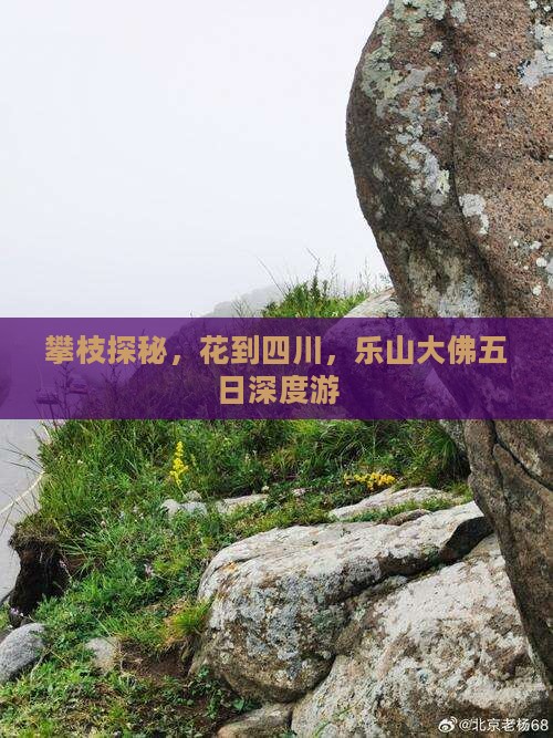 攀枝探秘，花到四川，乐山大佛五日深度游